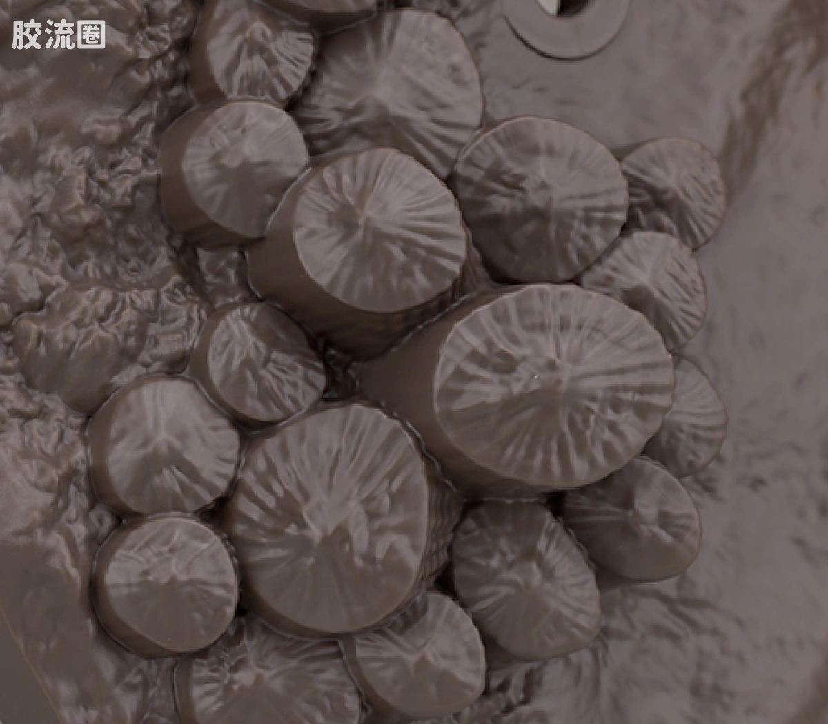 万代综合拼装模型系列 Imaginary Skeleton系列 沧龙 - 图片